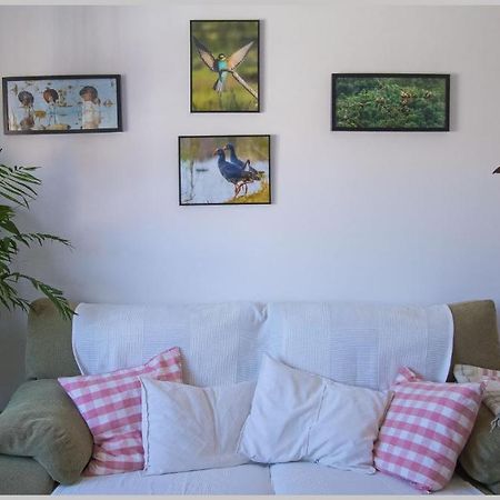 Casa De Los Pajaros Seville Luaran gambar
